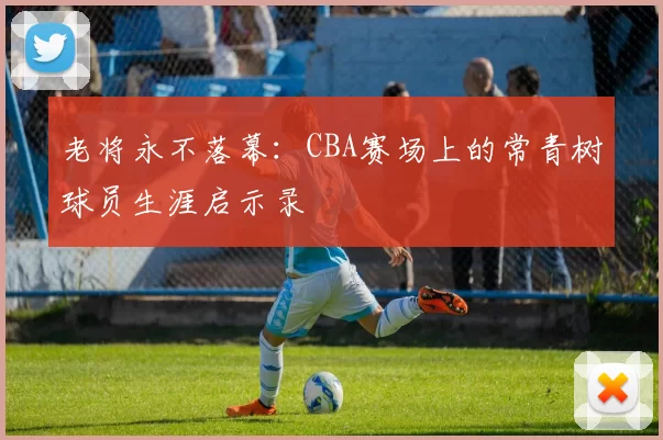 老将永不落幕：CBA赛场上的常青树球员生涯启示录