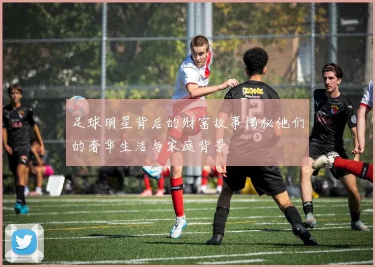 足球明星背后的财富故事揭秘他们的奢华生活与家庭背景