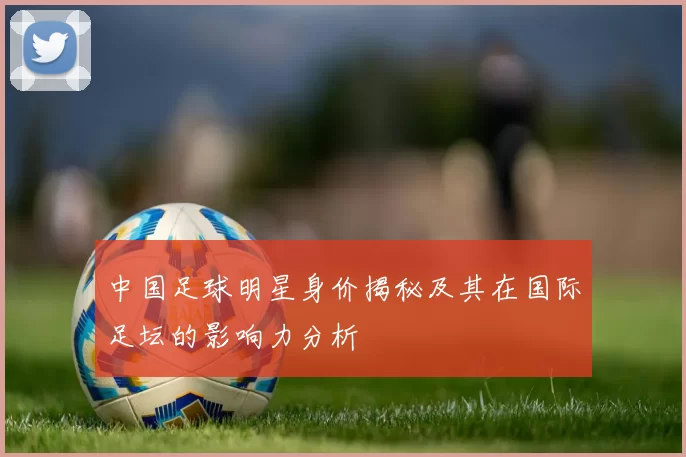 中国足球明星身价揭秘及其在国际足坛的影响力分析