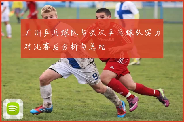 广州乒乓球队与武汉乒乓球队实力对比赛后分析与总结