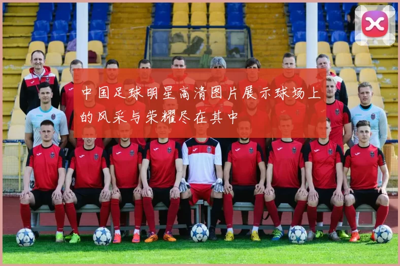 中国足球明星高清图片展示球场上的风采与荣耀尽在其中