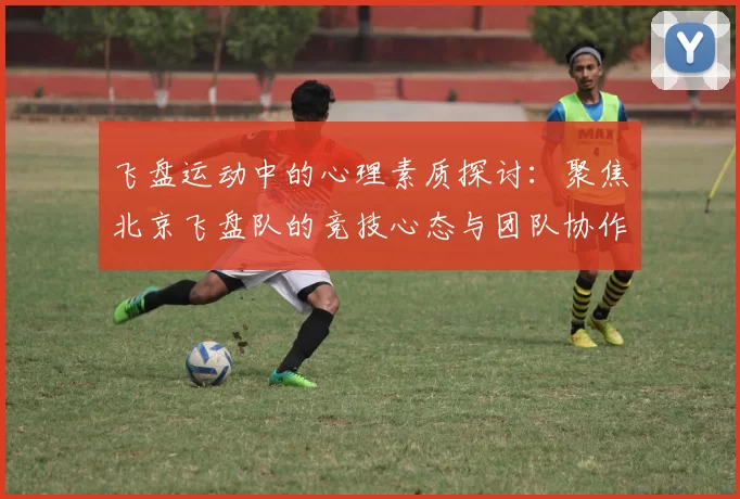 飞盘运动中的心理素质探讨：聚焦北京飞盘队的竞技心态与团队协作
