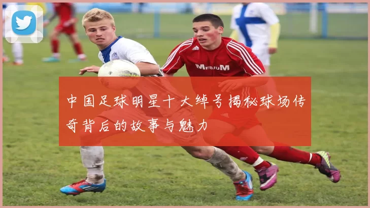 中国足球明星十大绰号揭秘球场传奇背后的故事与魅力