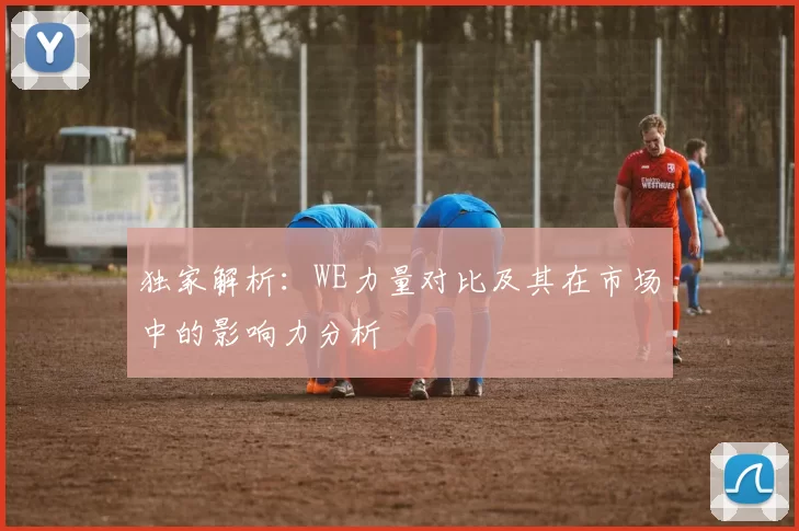 独家解析：WE力量对比及其在市场中的影响力分析