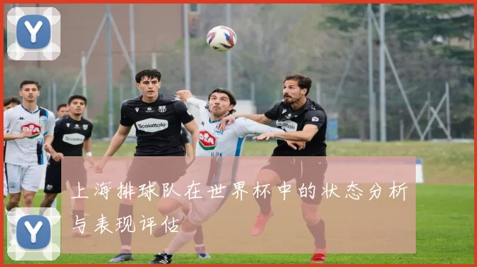 上海排球队在世界杯中的状态分析与表现评估