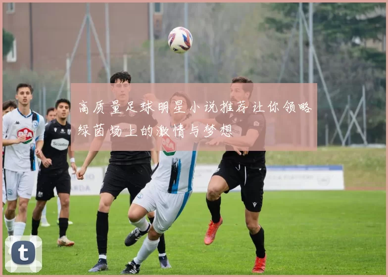 高质量足球明星小说推荐让你领略绿茵场上的激情与梦想