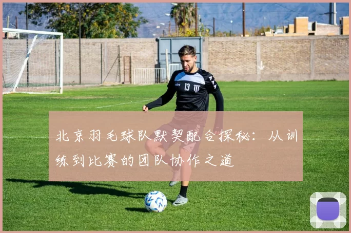 北京羽毛球队默契配合探秘：从训练到比赛的团队协作之道