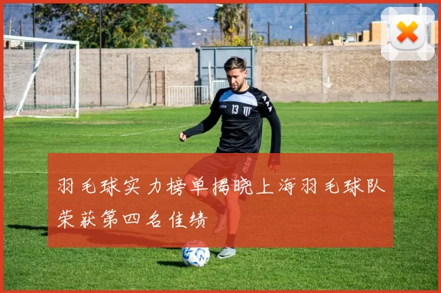羽毛球实力榜单揭晓上海羽毛球队荣获第四名佳绩
