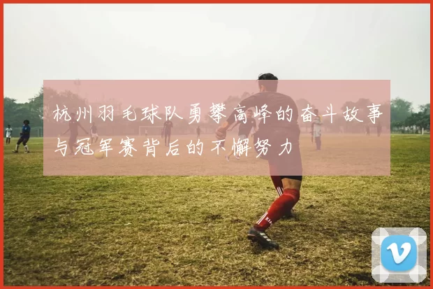 杭州羽毛球队勇攀高峰的奋斗故事与冠军赛背后的不懈努力