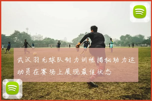 武汉羽毛球队耐力训练揭秘助力运动员在赛场上展现最佳状态