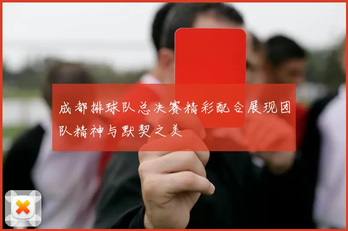 成都排球队总决赛精彩配合展现团队精神与默契之美