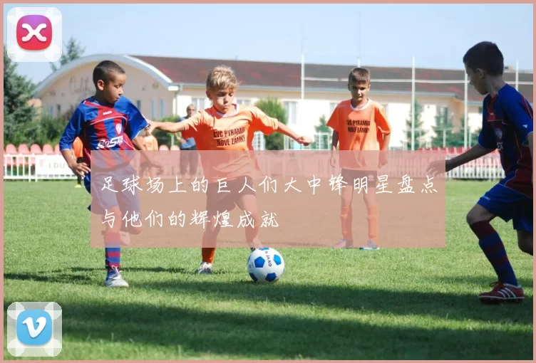 足球场上的巨人们大中锋明星盘点与他们的辉煌成就