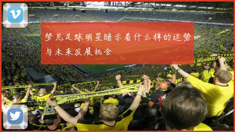梦见足球明星暗示着什么样的运势与未来发展机会