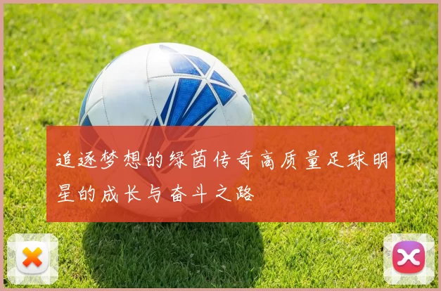 追逐梦想的绿茵传奇高质量足球明星的成长与奋斗之路
