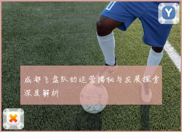 成都飞盘队的运营揭秘与发展探索深度解析