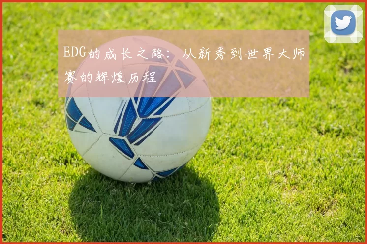 EDG的成长之路：从新秀到世界大师赛的辉煌历程