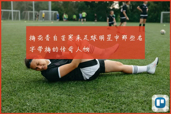梅花香自苦寒来足球明星中那些名字带梅的传奇人物