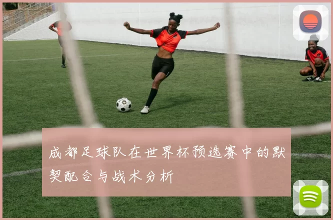 成都足球队在世界杯预选赛中的默契配合与战术分析