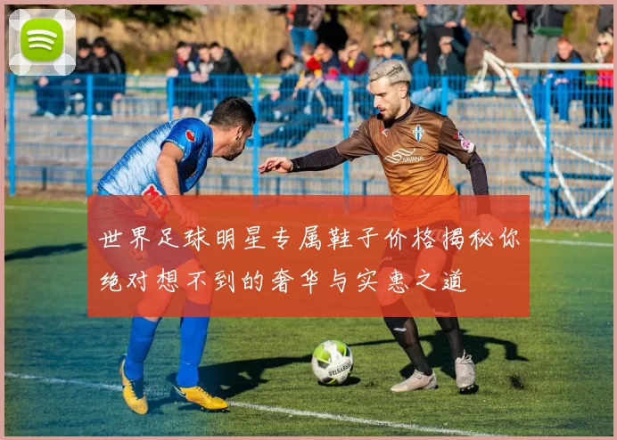 世界足球明星专属鞋子价格揭秘你绝对想不到的奢华与实惠之道