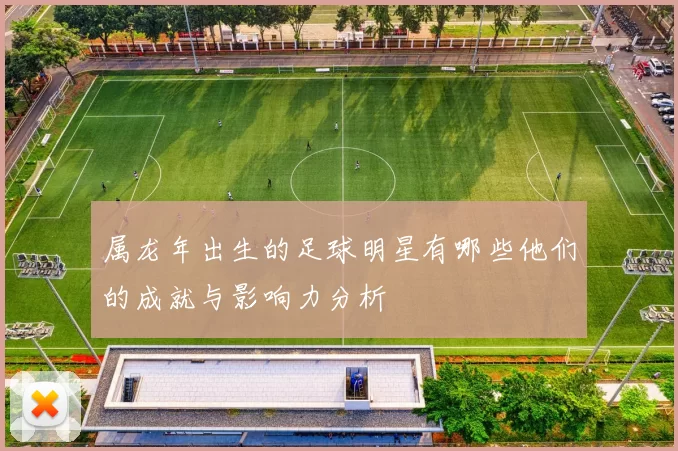 属龙年出生的足球明星有哪些他们的成就与影响力分析