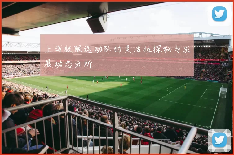 上海极限运动队的灵活性探秘与发展动态分析