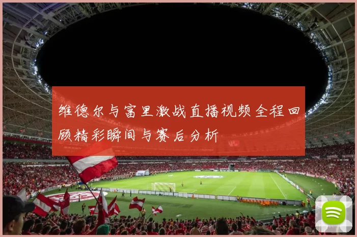 维德尔与富里激战直播视频全程回顾精彩瞬间与赛后分析