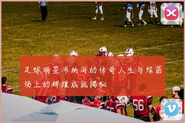 足球明星沛纳海的传奇人生与绿茵场上的辉煌成就揭秘